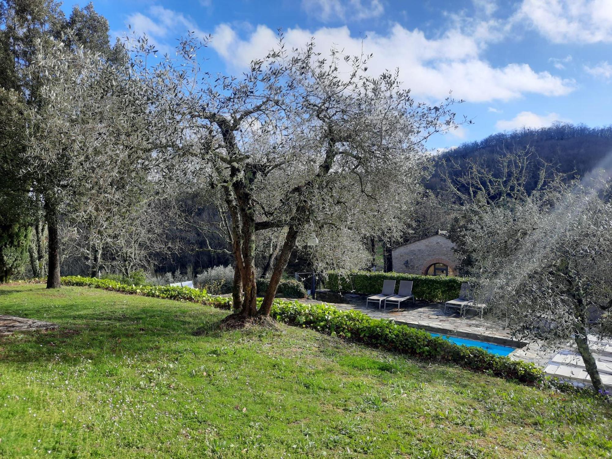 Borgo Livernano - Farmhouse With Pool Radda in Chianti Exterior photo